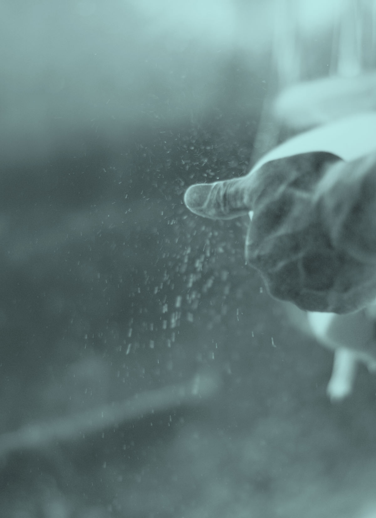 ハタサーフボード Hata Surfboards