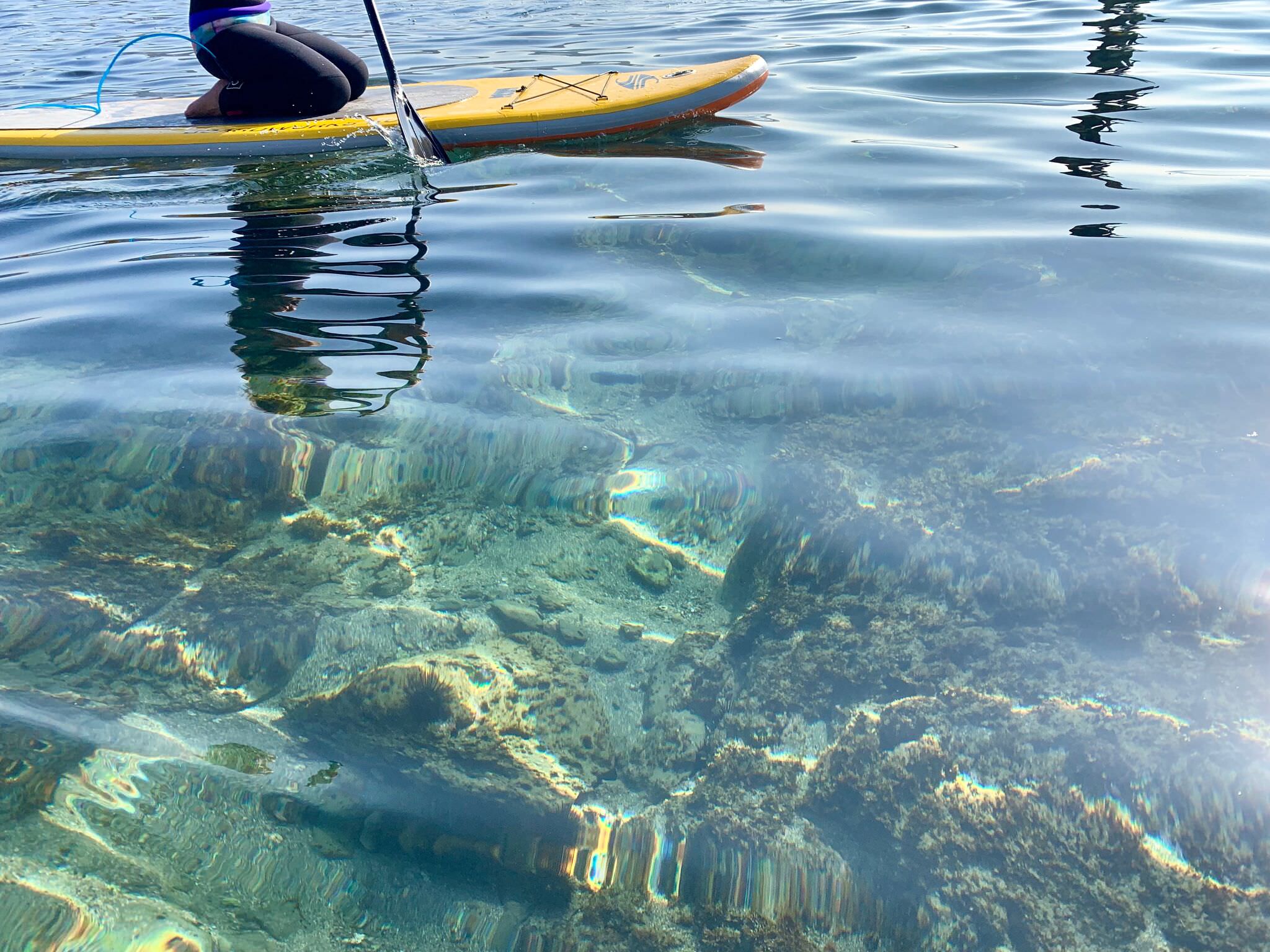 フリーライドサーフィンスクール FREERIDE SURF SCHOOL